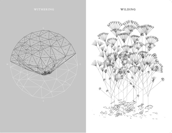 The_Withering_and_The_Wilding_StefaniePosavec