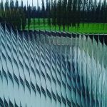 12132763_875539202561612_1454919103_n