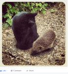 GDP_SeandeB7daynature